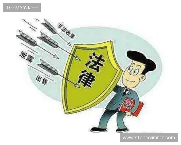 华体会体育国际娱乐的合法性与监管情况，保障用户权益的法律依据详解